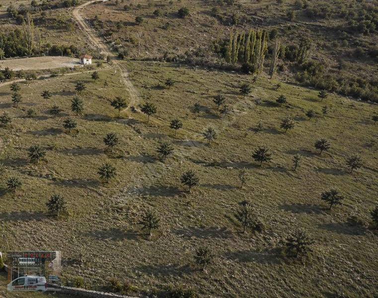 Ahır Olur!12.377Metre Tek Tapu Ekilir Biçilir Yola Cepheli Tarla
