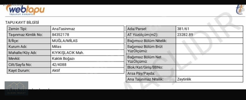 Milas Kıyıkışlacıkta Yatırımın Yeni Adresi: Satılık 23.282 M² — fotoğraf 13