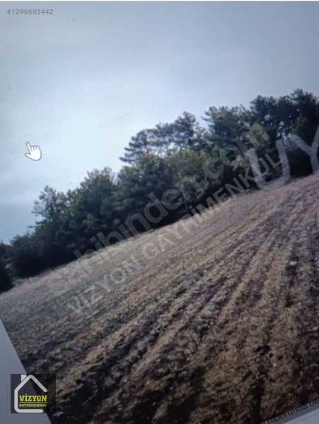 Göynük En Güzel Köylerinden Yola Cephe Doga Yeşillik Kafa Dinle — fotoğraf 3