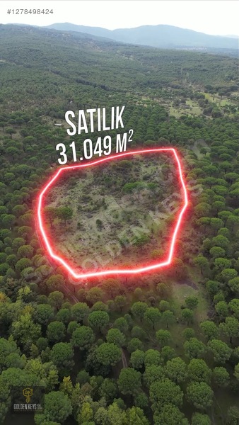 Kozak Karaveliler 31 Dönüm 190 Lira M.karesi Çam Fıstıklı Tarla — fotoğraf 3