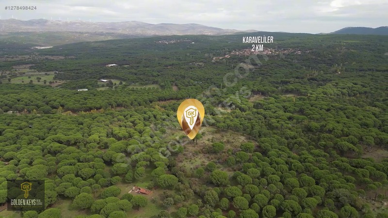 Kozak Karaveliler 31 Dönüm 190 Lira M.karesi Çam Fıstıklı Tarla — fotoğraf 4