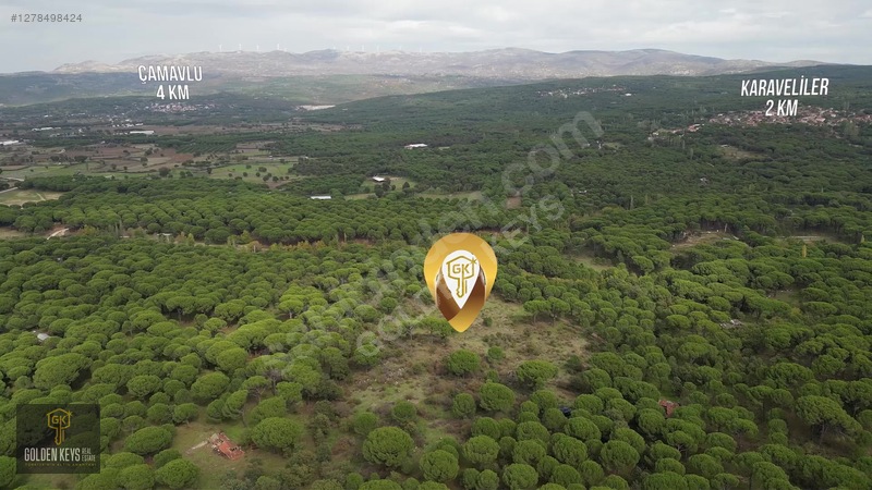 Kozak Karaveliler 31 Dönüm 190 Lira M.karesi Çam Fıstıklı Tarla — fotoğraf 5