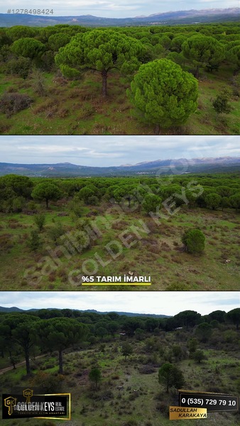 Kozak Karaveliler 31 Dönüm 190 Lira M.karesi Çam Fıstıklı Tarla — fotoğraf 10