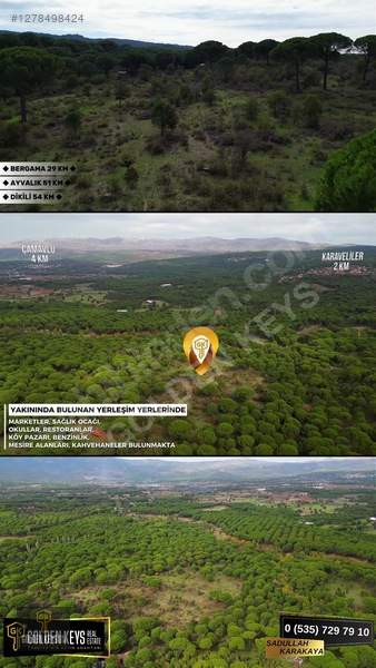 Kozak Karaveliler 31 Dönüm 190 Lira M.karesi Çam Fıstıklı Tarla — fotoğraf 13