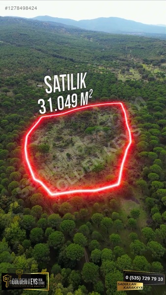 Kozak Karaveliler 31 Dönüm 190 Lira M.karesi Çam Fıstıklı Tarla — fotoğraf 14