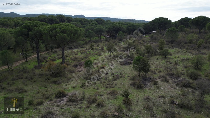 Kozak Karaveliler 31 Dönüm 190 Lira M.karesi Çam Fıstıklı Tarla — fotoğraf 22