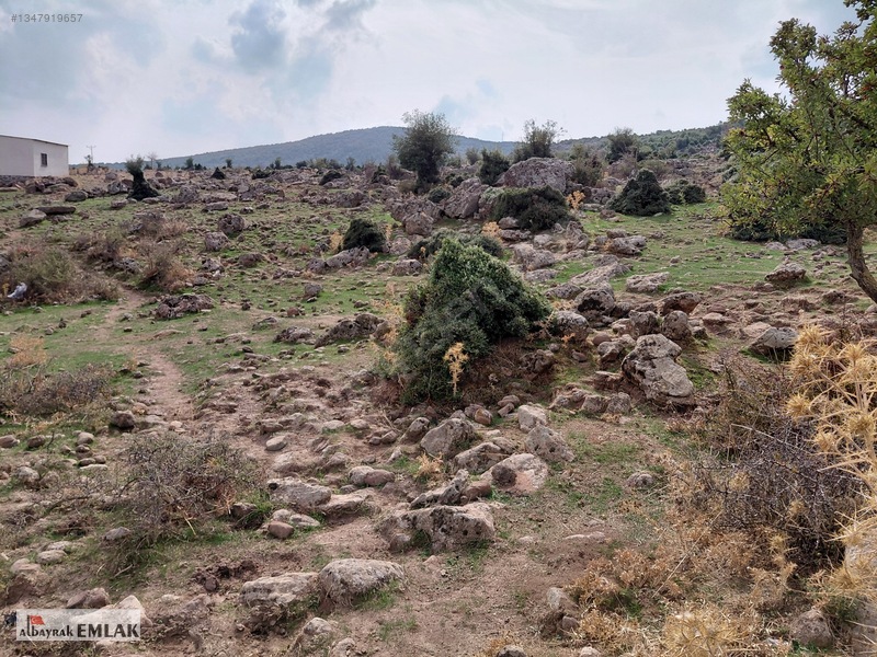 Yunusemre Pınarköy De 6.adet Villalık İmarlı 1.020 M2 Arsa — fotoğraf 5