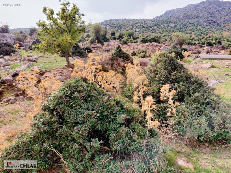 Yunusemre Pınarköy De 6.adet Villalık İmarlı 1.020 M2 Arsa — fotoğraf 6