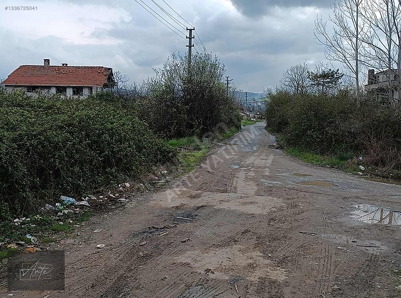 Yalova Altınova Kaytazdere'de Yola Cepheli Satılık Fırsat Arazi — fotoğraf 5