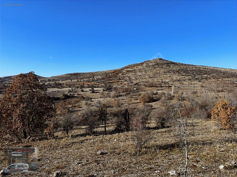 1020 Metre Tek Tapu Bahçelik Önü Mera Kaçırılmıycak Tarla — fotoğraf 4