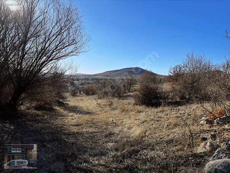 1020 Metre Tek Tapu Bahçelik Önü Mera Kaçırılmıycak Tarla — fotoğraf 5