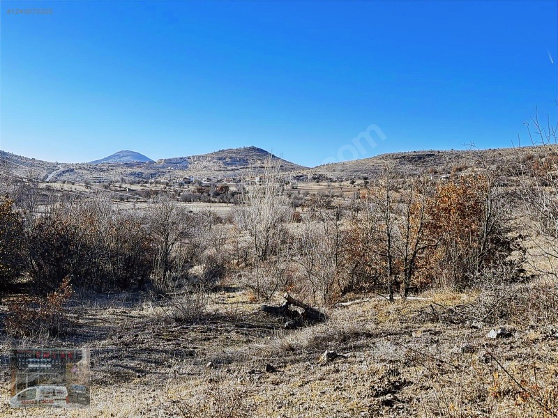 1020 Metre Tek Tapu Bahçelik Önü Mera Kaçırılmıycak Tarla — fotoğraf 6