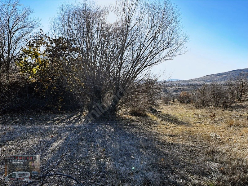 1020 Metre Tek Tapu Bahçelik Önü Mera Kaçırılmıycak Tarla — fotoğraf 7