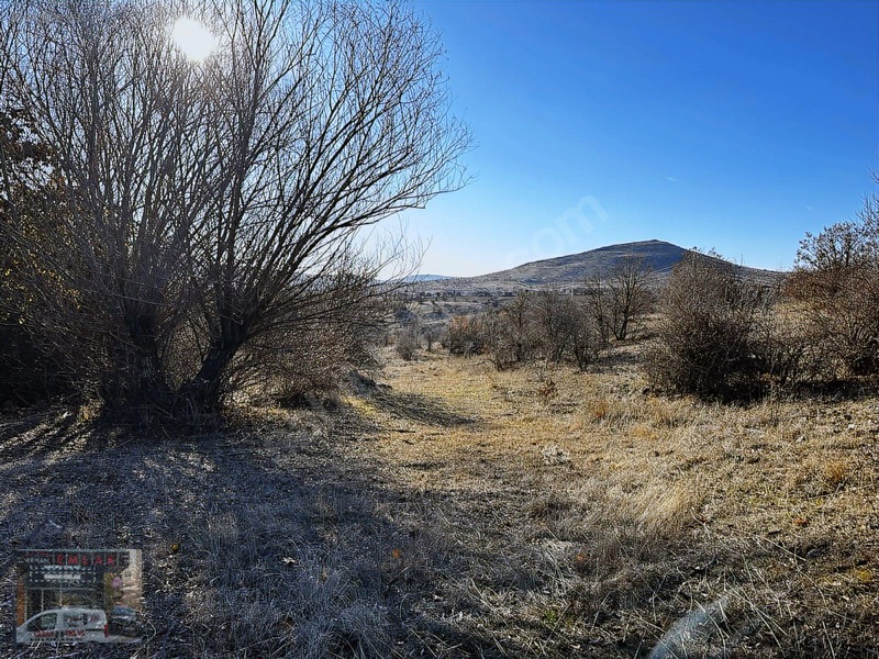 1020 Metre Tek Tapu Bahçelik Önü Mera Kaçırılmıycak Tarla — fotoğraf 8