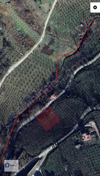 Trabzon Blueinvest Ten Satılık Villa İmarlı Arsa — fotoğraf 2