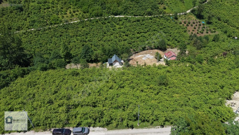 Trabzon Blueinvest Ten Satılık Villa İmarlı Arsa — fotoğraf 6