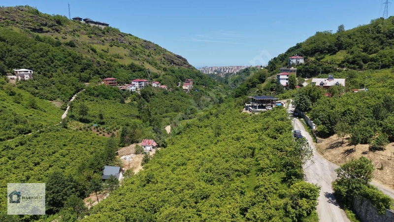 Trabzon Blueinvest Ten Satılık Villa İmarlı Arsa — fotoğraf 8