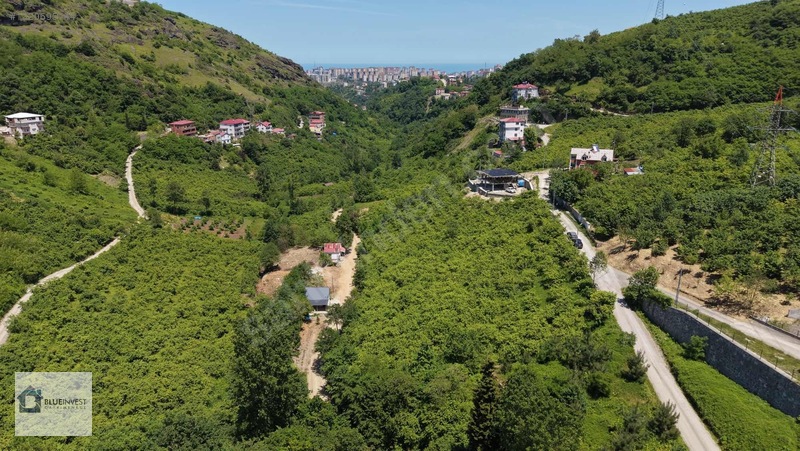 Trabzon Blueinvest Ten Satılık Villa İmarlı Arsa — fotoğraf 10