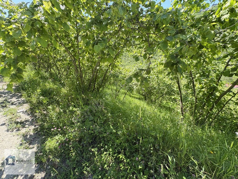 Trabzon Blueinvest Ten Satılık Villa İmarlı Arsa — fotoğraf 14