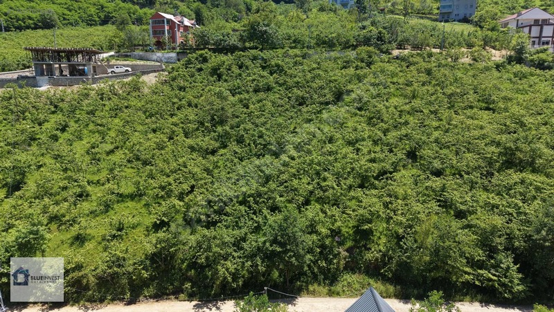 Trabzon Blueinvest Ten Kireçhade Satılık Villa İmarlı Arsa