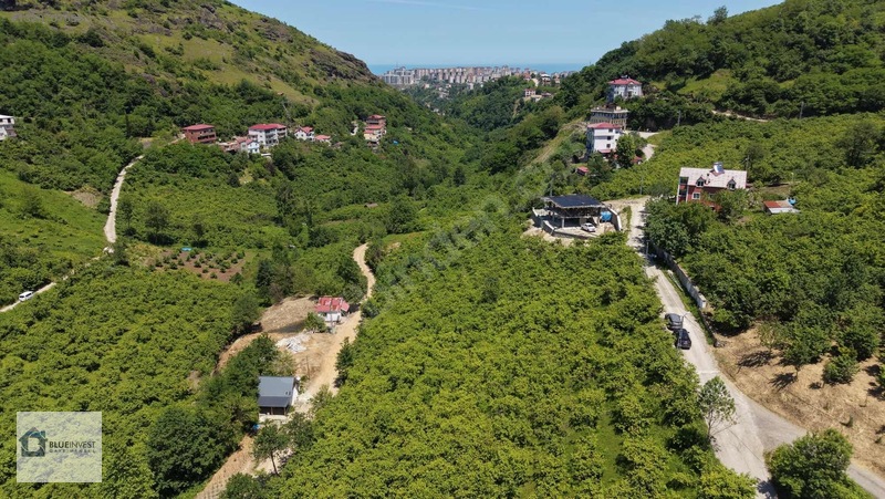 Trabzon Blueinvest Ten Kireçhade Satılık Villa İmarlı Arsa — fotoğraf 8