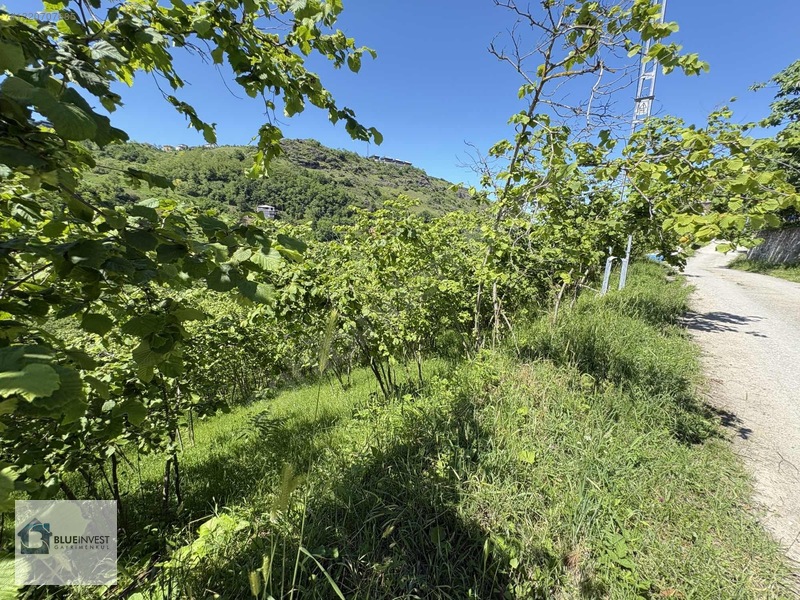 Trabzon Blueinvest Ten Kireçhade Satılık Villa İmarlı Arsa — fotoğraf 16