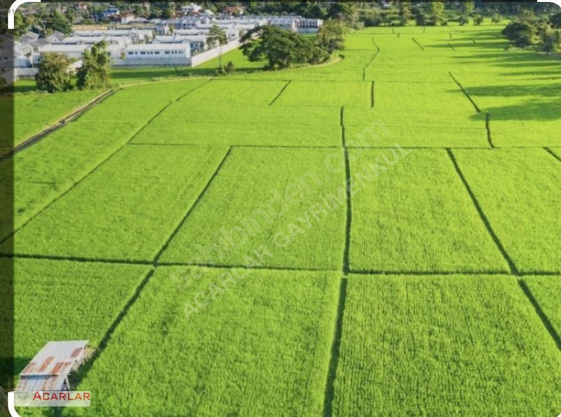 Kuzeykent Üniversite Altında 305 Metre Kare Kopp. Hisseleri