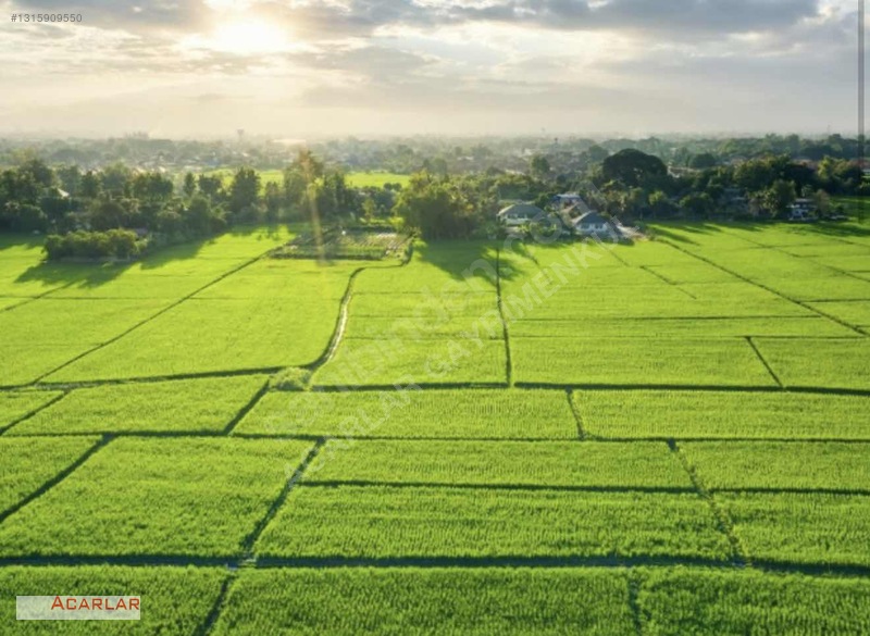 Kuzeykent Üniversite Altında 305 Metre Kare Kopp. Hisseleri — fotoğraf 2