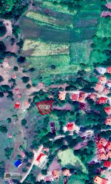 Cer Köyünün Kalbinde
