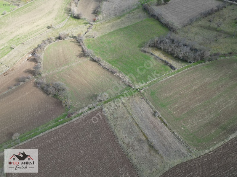 'otomoni Emlak' Şeyh Köyünde 2.700 M2 İmarlı Villa Arsası — fotoğraf 5