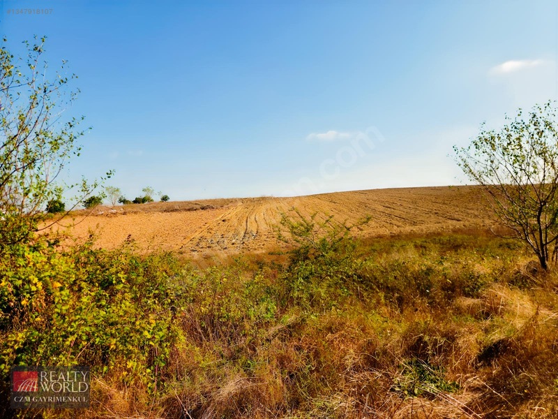 Burdur Merkez Erikli 6037M2 Yolu Açılmış Yatırımlık Satılık Arsa