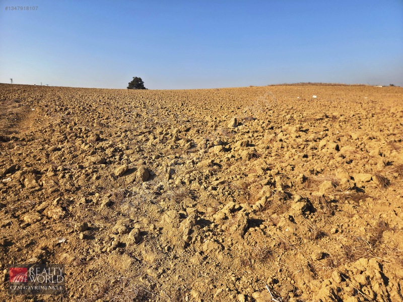 Burdur Merkez Erikli 6037m2 Yolu Açılmış Yatırımlık Satılık Arsa — fotoğraf 2