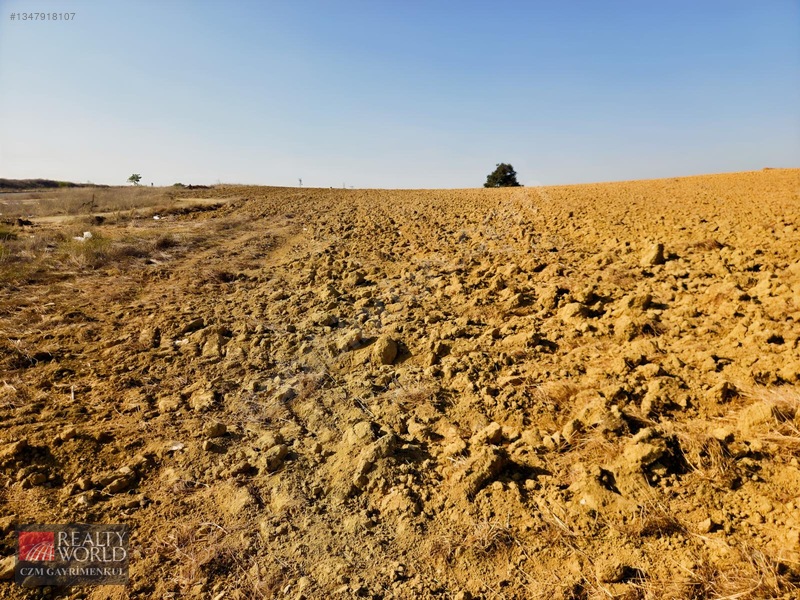 Burdur Merkez Erikli 6037m2 Yolu Açılmış Yatırımlık Satılık Arsa — fotoğraf 3