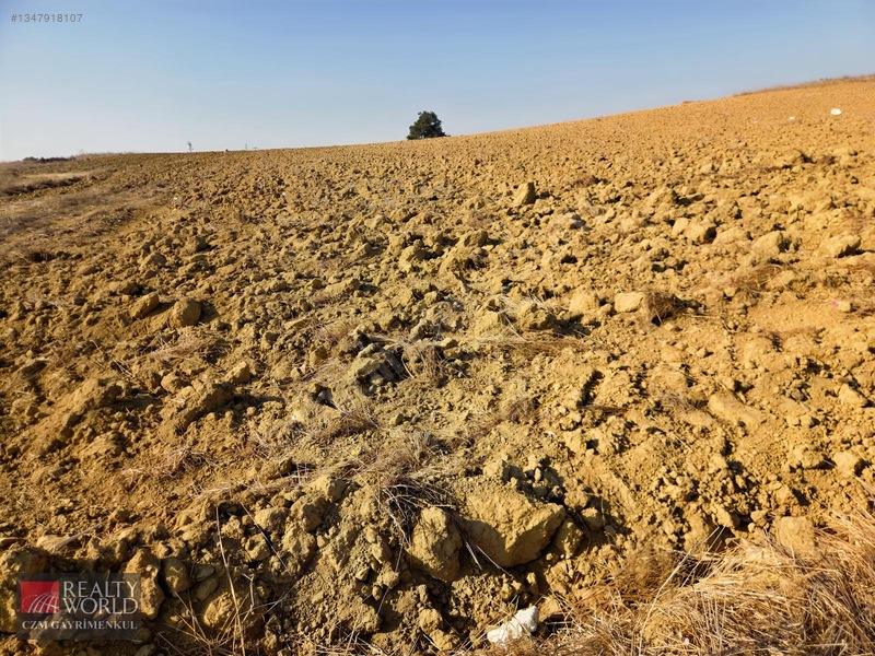 Burdur Merkez Erikli 6037m2 Yolu Açılmış Yatırımlık Satılık Arsa — fotoğraf 4