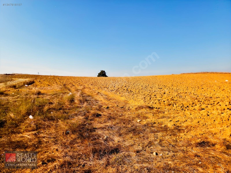 Burdur Merkez Erikli 6037m2 Yolu Açılmış Yatırımlık Satılık Arsa — fotoğraf 5