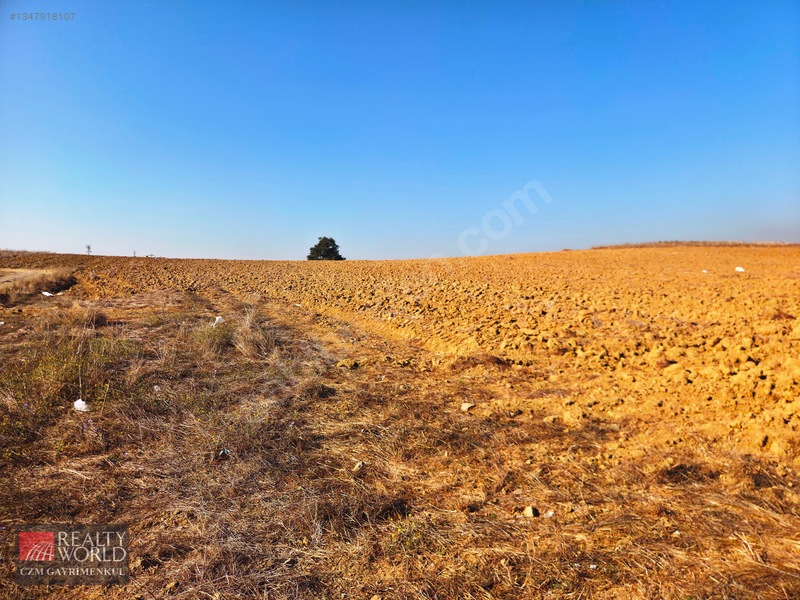 Burdur Merkez Erikli 6037m2 Yolu Açılmış Yatırımlık Satılık Arsa — fotoğraf 6