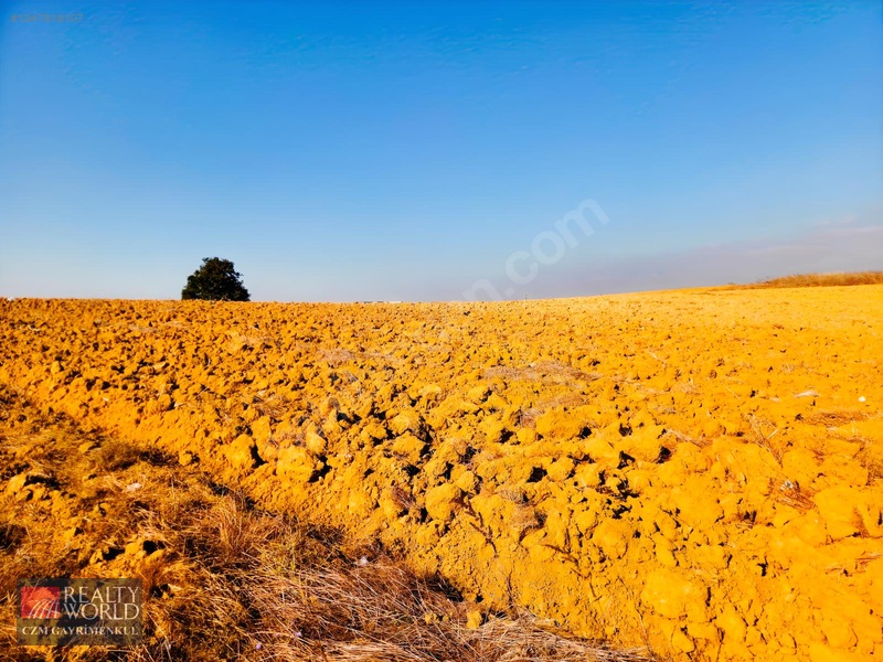 Burdur Merkez Erikli 6037m2 Yolu Açılmış Yatırımlık Satılık Arsa — fotoğraf 7