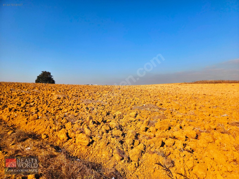 Burdur Merkez Erikli 6037m2 Yolu Açılmış Yatırımlık Satılık Arsa — fotoğraf 9