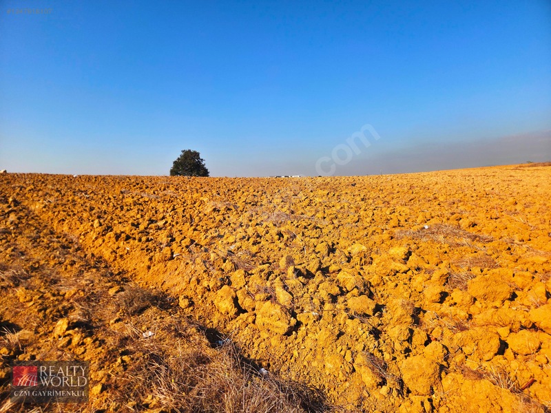 Burdur Merkez Erikli 6037m2 Yolu Açılmış Yatırımlık Satılık Arsa — fotoğraf 10