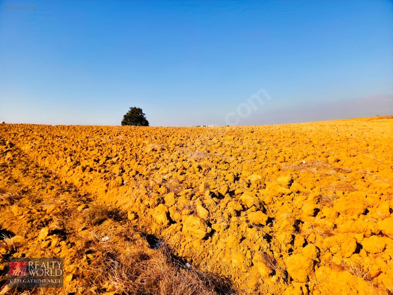 Burdur Merkez Erikli 6037m2 Yolu Açılmış Yatırımlık Satılık Arsa — fotoğraf 11