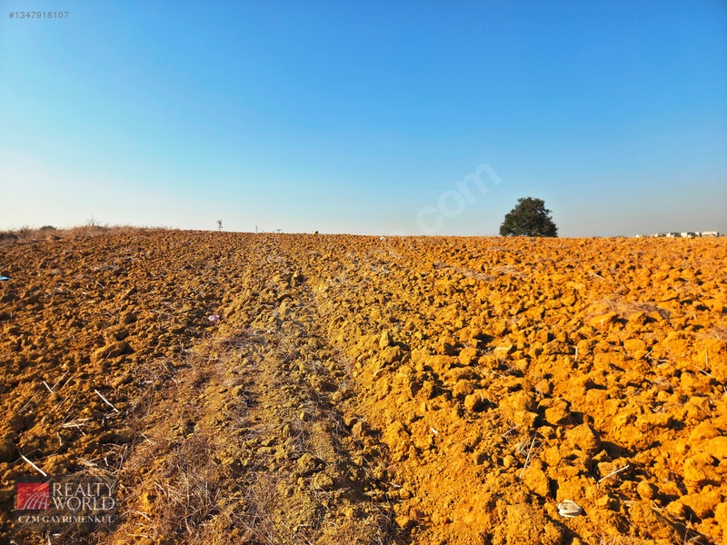 Burdur Merkez Erikli 6037m2 Yolu Açılmış Yatırımlık Satılık Arsa — fotoğraf 13