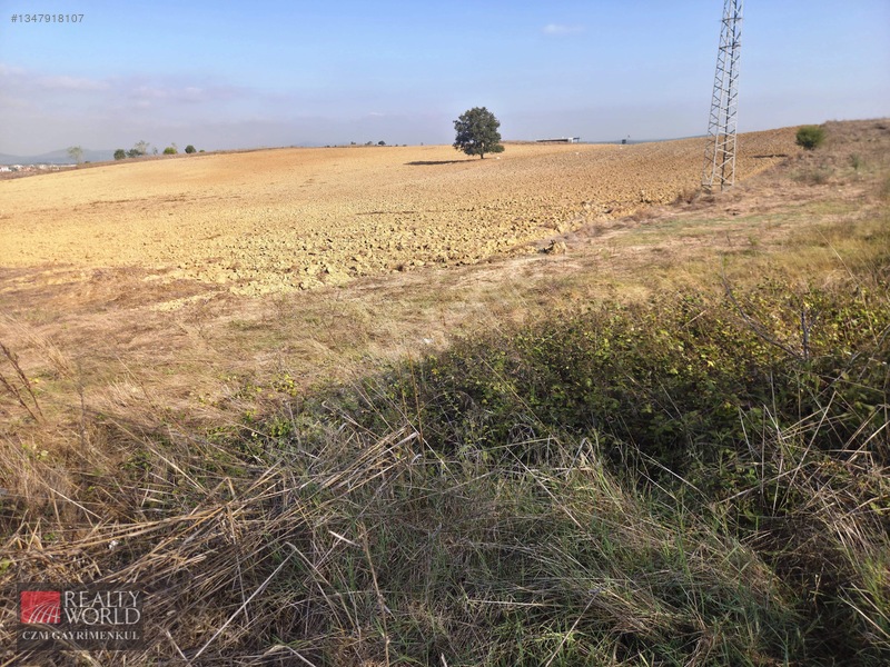Burdur Merkez Erikli 6037m2 Yolu Açılmış Yatırımlık Satılık Arsa — fotoğraf 19