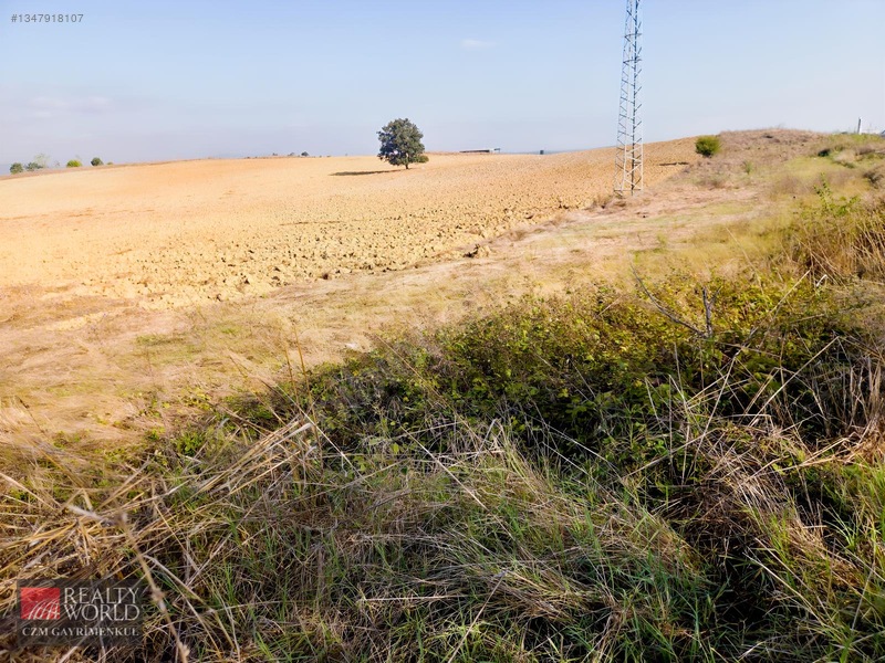 Burdur Merkez Erikli 6037m2 Yolu Açılmış Yatırımlık Satılık Arsa — fotoğraf 20