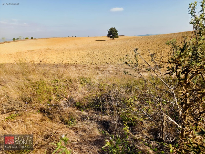 Burdur Merkez Erikli 6037m2 Yolu Açılmış Yatırımlık Satılık Arsa — fotoğraf 22