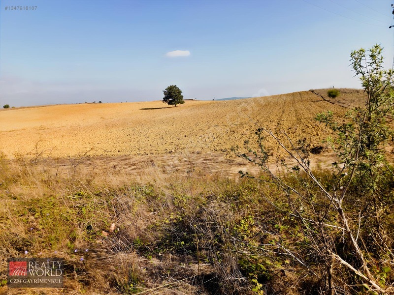 Burdur Merkez Erikli 6037m2 Yolu Açılmış Yatırımlık Satılık Arsa — fotoğraf 24