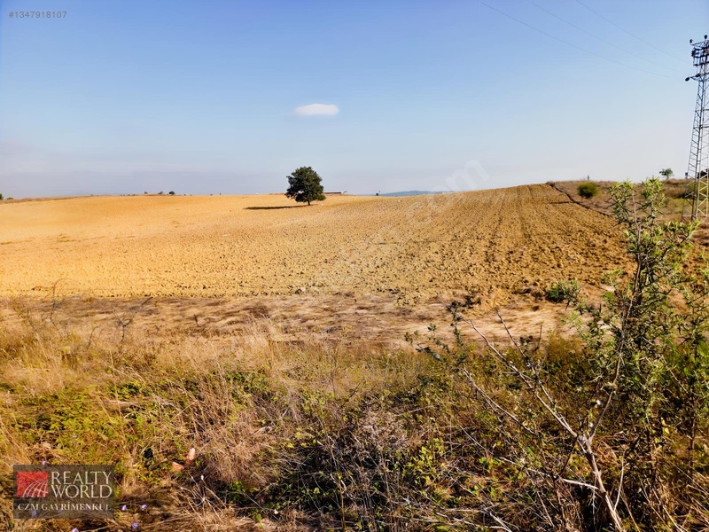 Burdur Merkez Erikli 6037m2 Yolu Açılmış Yatırımlık Satılık Arsa — fotoğraf 25