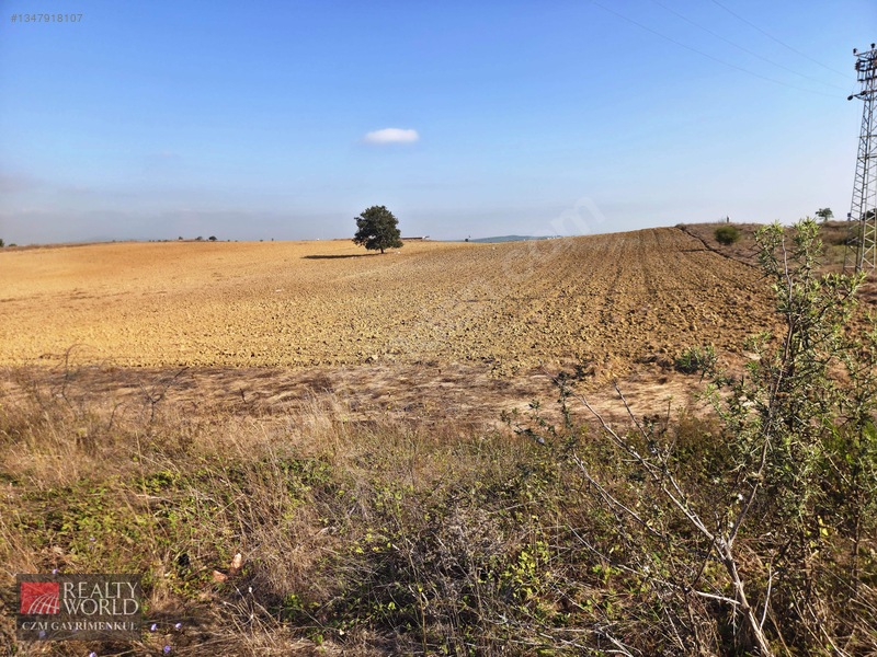 Burdur Merkez Erikli 6037m2 Yolu Açılmış Yatırımlık Satılık Arsa — fotoğraf 26