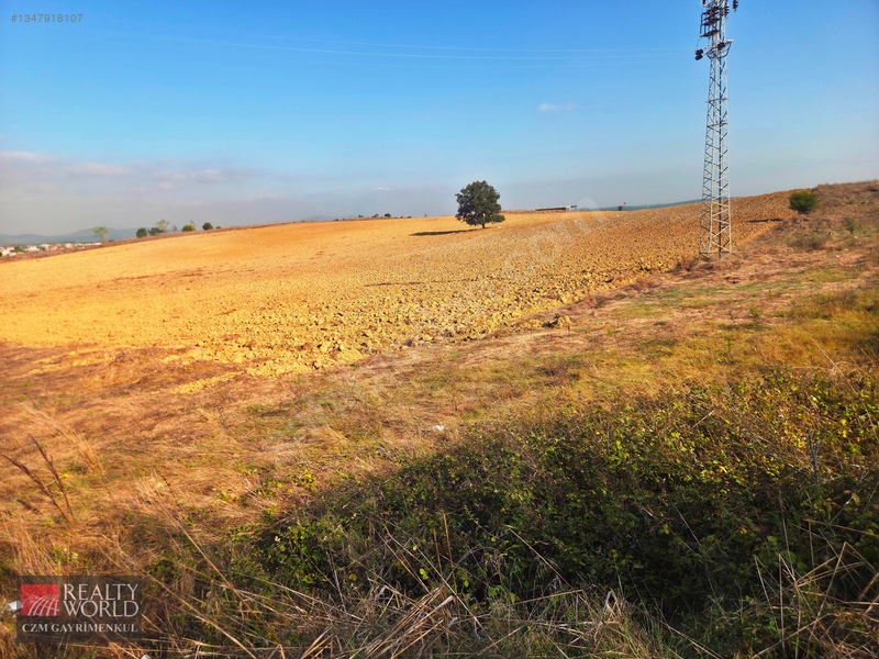 Burdur Merkez Erikli 6037m2 Yolu Açılmış Yatırımlık Satılık Arsa — fotoğraf 27