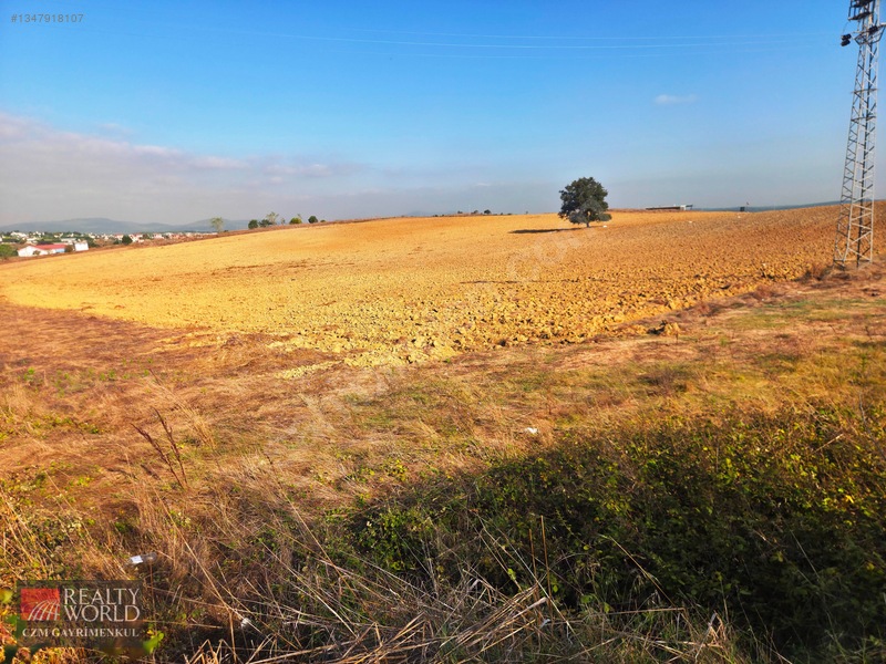 Burdur Merkez Erikli 6037m2 Yolu Açılmış Yatırımlık Satılık Arsa — fotoğraf 28