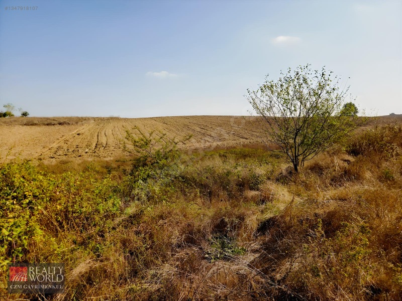 Burdur Merkez Erikli 6037m2 Yolu Açılmış Yatırımlık Satılık Arsa — fotoğraf 31